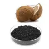 Coconut Shell Carbon